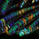 Image for article titled Amazing Photographs Capture the Microscopic Iridescence of Peacock Feathers